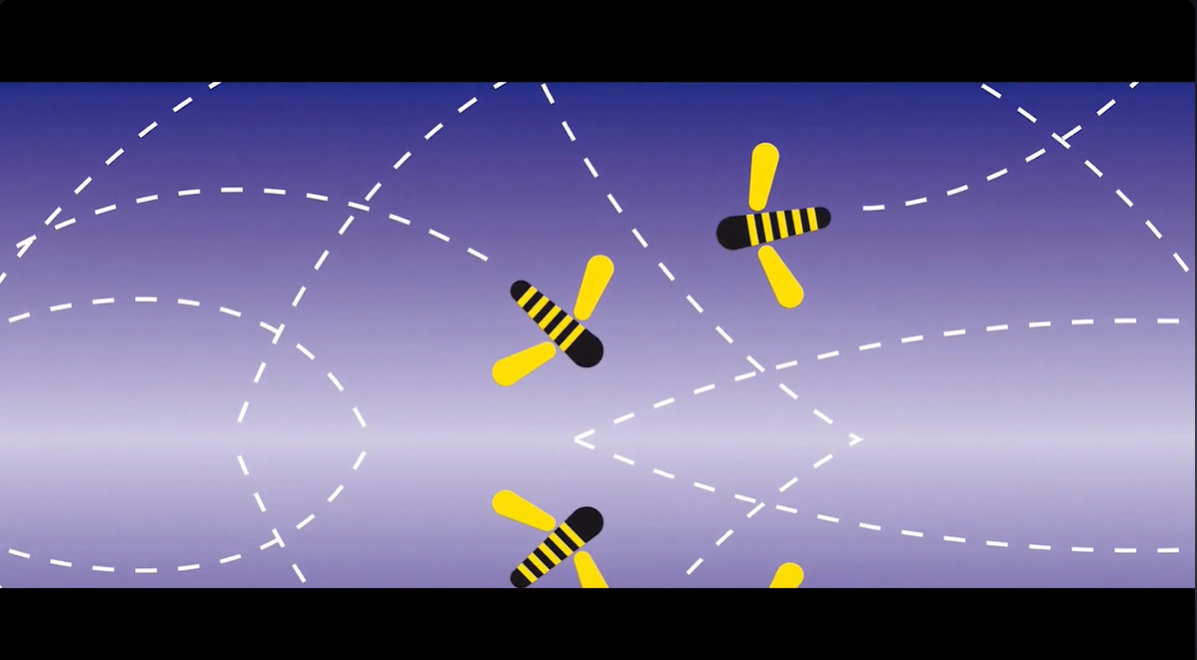 01 constellation episode 1